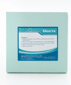 Test de Bowie & Dick